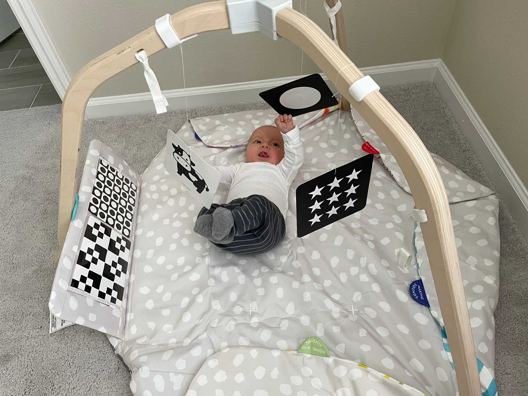 Play gym with black and white cards 