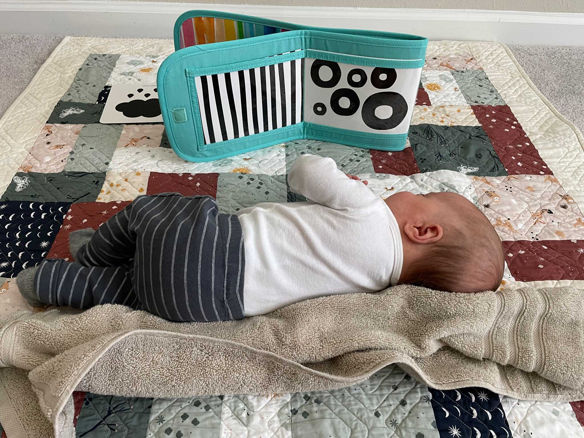 baby laying on his side, looking at black and white cards