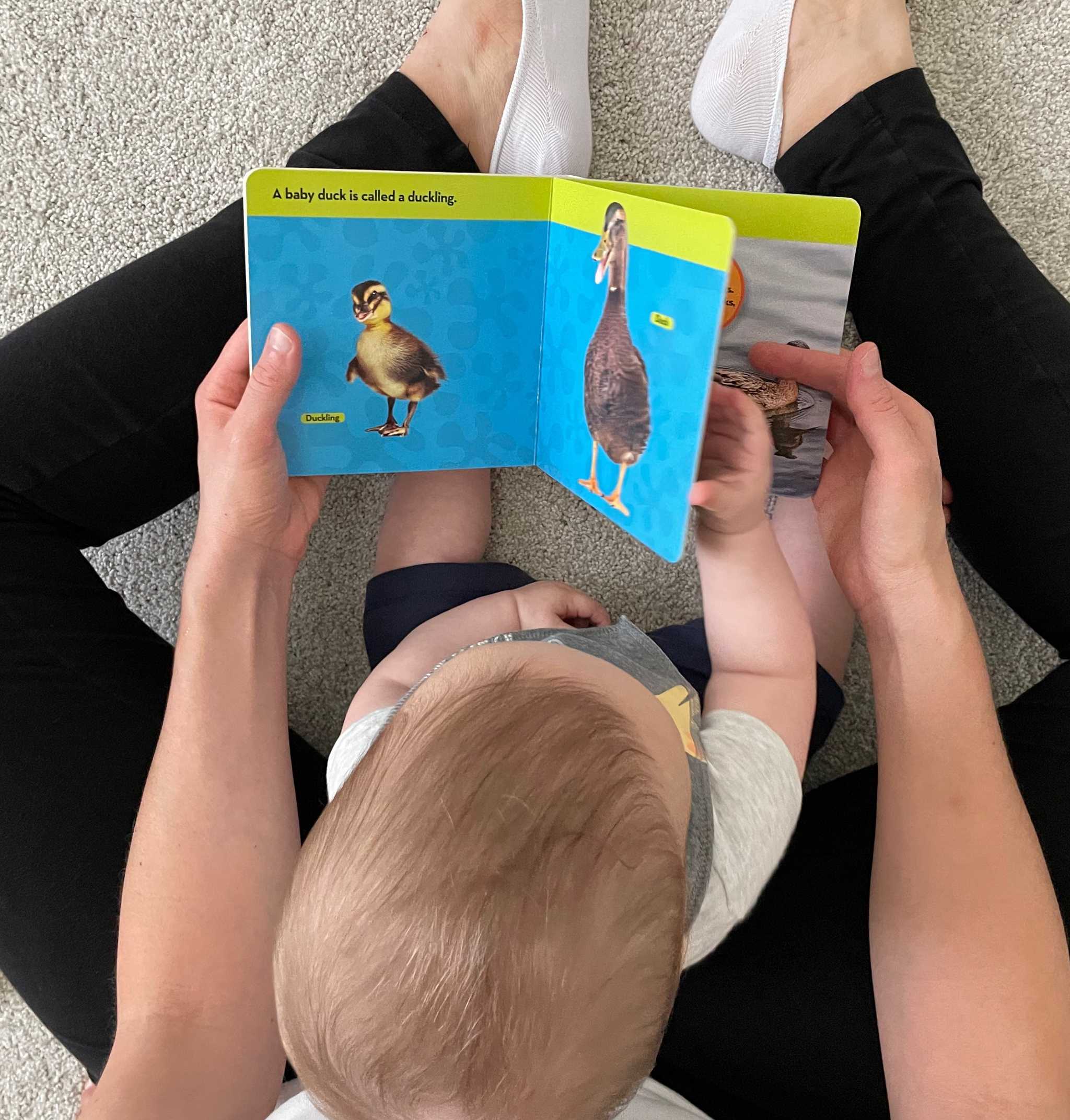 Reading with baby